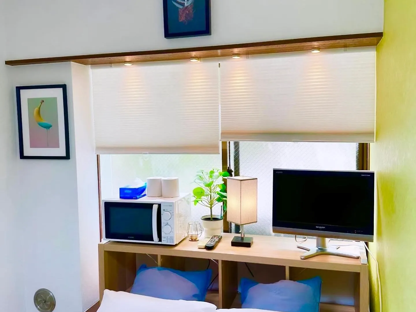 Plaza Sinjuku Cozy Mansion Apartment Tokyo