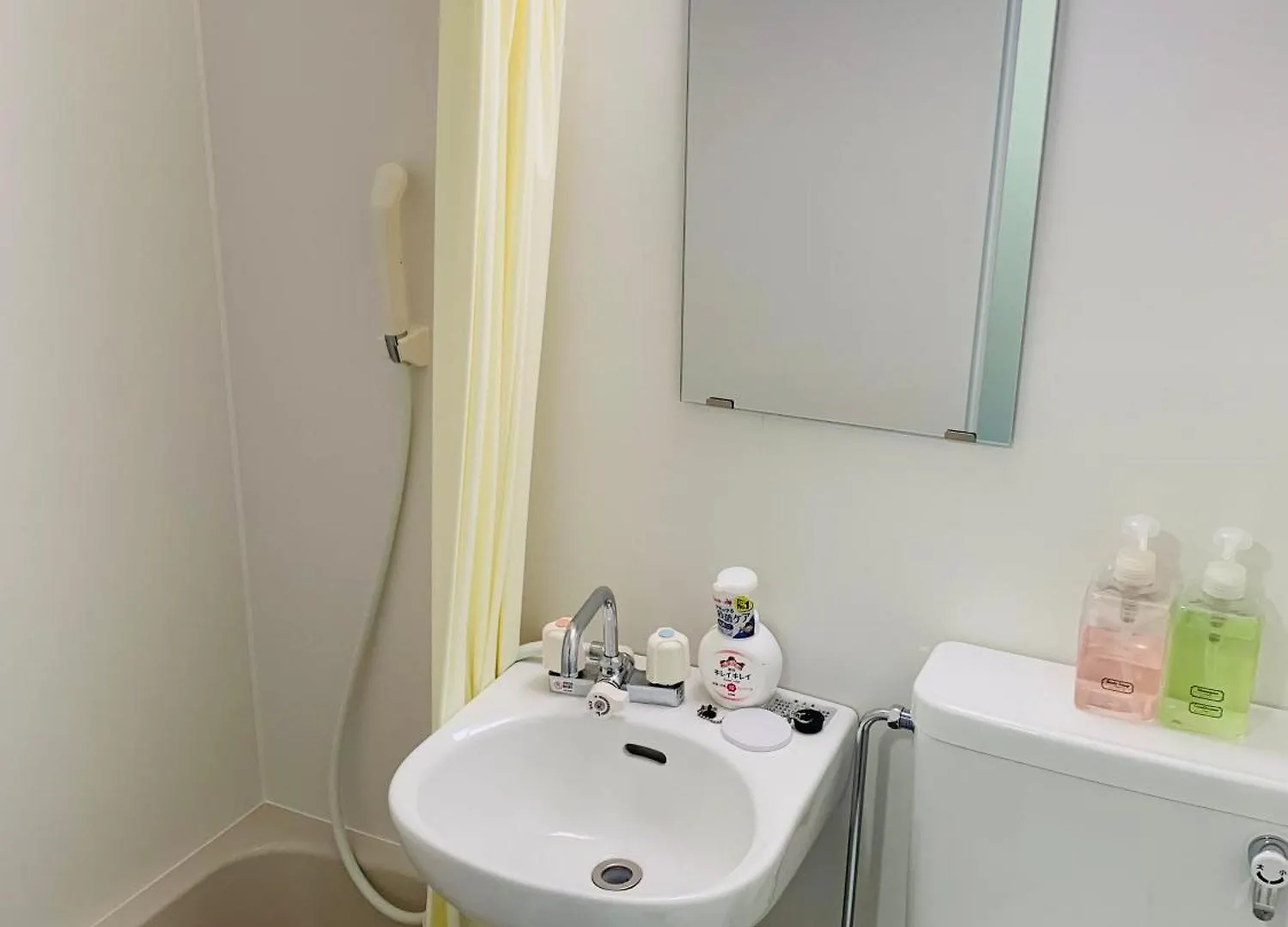 Plaza Sinjuku Cozy Mansion Apartment Tokyo