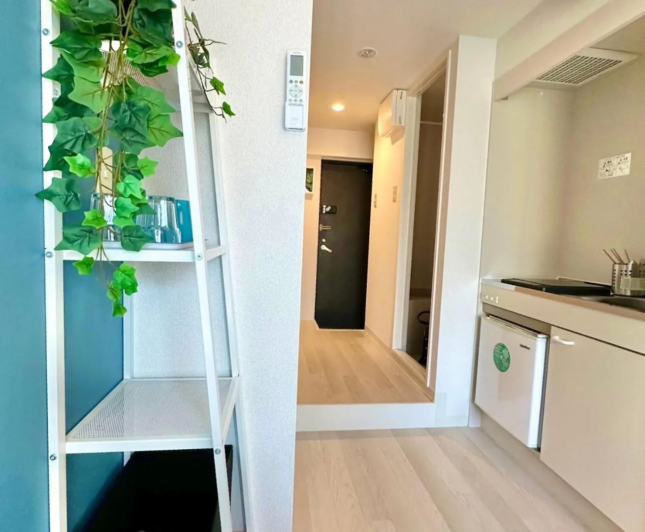 Plaza Sinjuku Cozy Mansion Apartment Tokyo