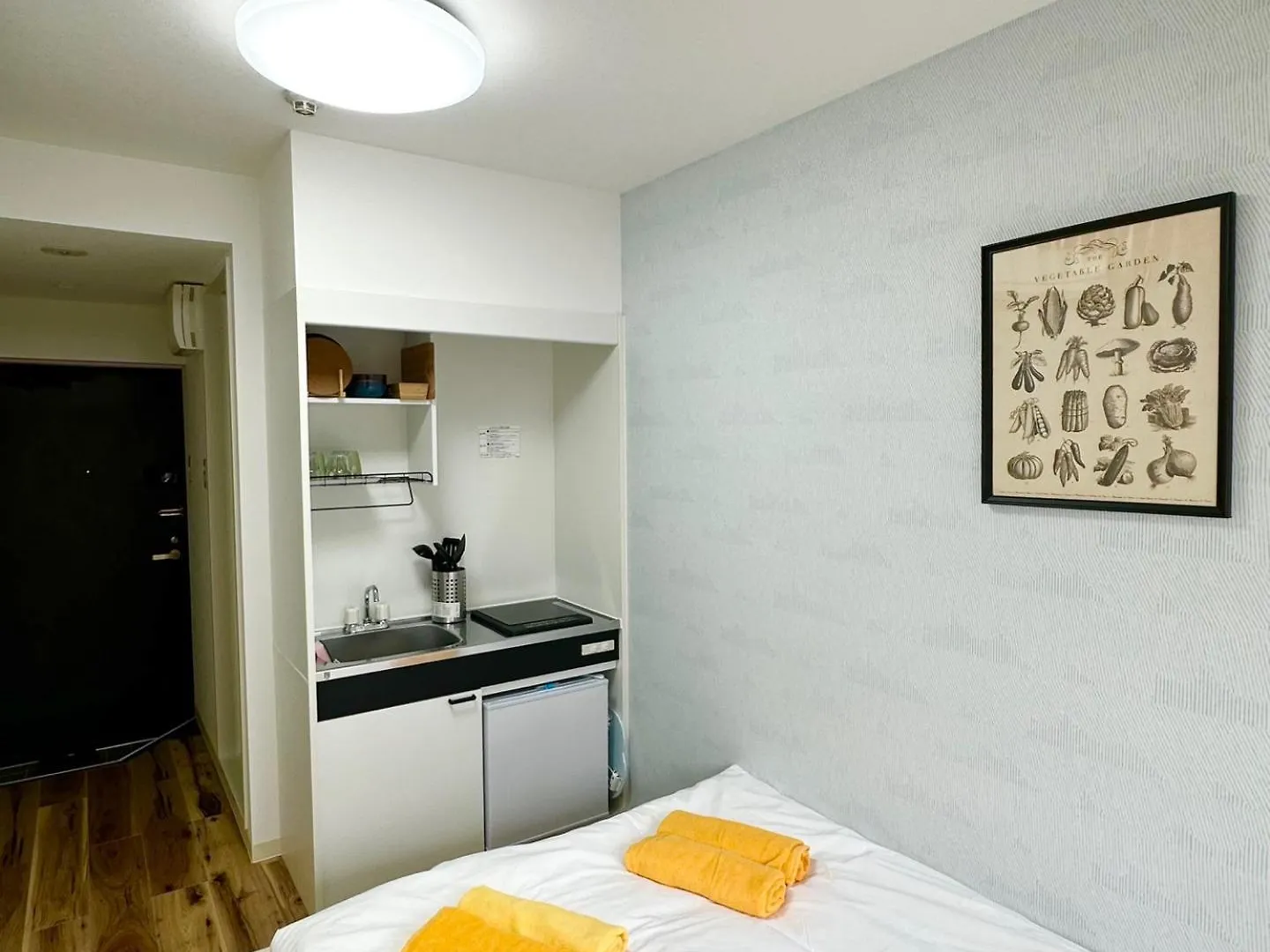 Plaza Sinjuku Cozy Mansion Apartment Tokyo